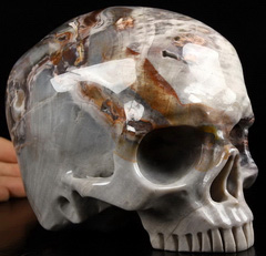 Lifesized 6.1" Petrified Wood Carved Crystal Skull without Jaw,Super Realistic, Crystal Healing