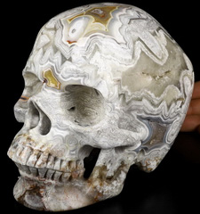 Lifesized 6.9" Crazy Lace Agate Carved Crystal Skull,Super Realistic, Crystal Healing
