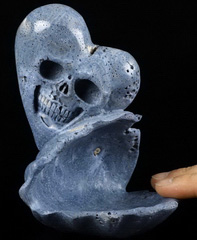 Love Forever 5.5" Blue Sponge Coral Carved Crystal Skull & Shell, Crystal Healing