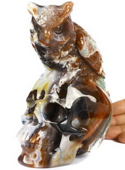 6.3" Black Zebra Agate Carved Crystal Skull & Owl Sculpture, Realistic