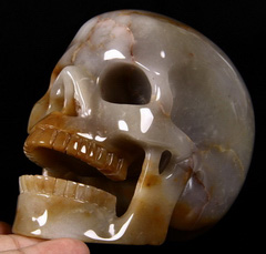 Huge 5.0" Agate Carved Crystal Singing Skull