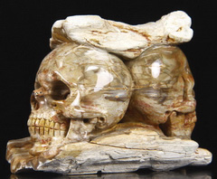 Huge 4.1" Petrified Wood Branch Carved Crystal Double Skulls Sculpture, Realistic