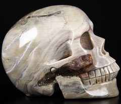 GEODE Huge 5.1" Petrified Wood Carved Crystal Skull, Realistic