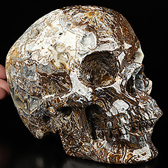 Super Realistic! Lifesized 6.9" Tree Leaves Agate Hand Carved Crystal Skull, Crystal Healing