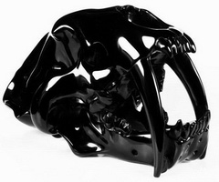 AWESOME Giant 7.5" Black Obsidian Carved Crystal Smilodon SABER-TOOTHED Tiger/Cat Skull