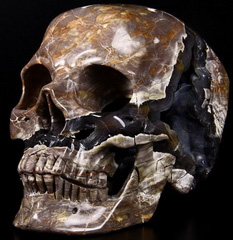Amazing Lifesized 8.0" Dinosaur Egg Agate Carved Crystal Skull