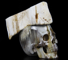 3.3" Petrified Wood Branch Carved Crystal Skull