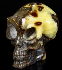 Huge 5.3" Dragon Septarian Stone Carved Crystal Alien Skull