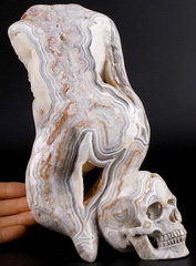 Original 7.8" Red Crazy Lace Agate Carved Crystal Skull, Realistic, Crystal Healing