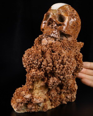 7.6" Stalactite Hand Carved Crystal Skull Fine Art Sculpture, Crystal Healing