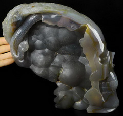 8.4" Agate Carved Crystal Skull & Snake, Crystal Healing