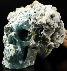 Gemstone 6.7" Green Grape Agate Carved Crystal Skull, Realistic, Crystal Healing