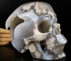 Lifesized Top Quality 6.9" Sakura Agate Geode Carved Crystal Skull,Super Realistic, Crystal Healing