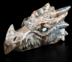 6.0" Indonesian Agate Carved Crystal Dragon Skull Head, Crystal Healing