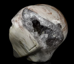 RARE 2.0" Petrified Wood Carved Crystal Female Alien Skull & GEODE DRUSE, Crystal Healing