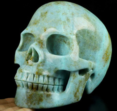Lifesized 7.0" Amazonite Carved Crystal Skull, Crystal Healing