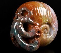 5.9" Indian Agate Carved Crystal Octopus Skull, Crystal Healing