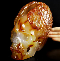 6.8" Carnelian Carved Crystal Skull & Wings Sculpture with Led Stand, Crystal Healing