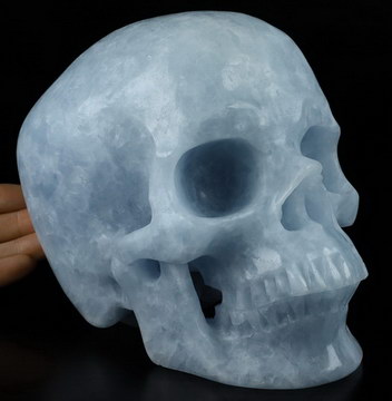 7.1" Blue Calcite Carved Crystal skull,Super Realistic, Crystal Healing