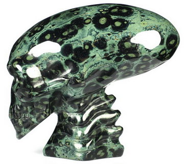 6.4" Kambaba Jasper Hand Carved Crystal Elongated Mayan Alien Skull with Spine Sculpture, Crystal Healing