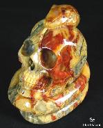 Stunning Large 4.1" Crazy Lace Agate Carved Crystal Skull With Snake Carving