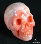 Hawaiian, 1.1" Red Coral Carved Crystal Skull Realistic
