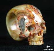 Pattern, Crazy Lace Agate Carved Skull, Crystal, Size 9
