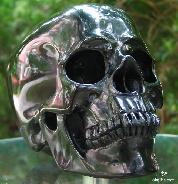Handsome Lifesized, Life Sized 8.0" Black Obsidian Carved Crystal Skull, Super Realistic