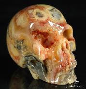 2.5" Crazy Lace Agate Carved Crystal Skull, Realistic