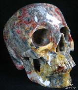 Lifesized Crazy Lace Agate Carved Crystal Skull, Super Realistic