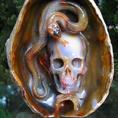 Aug 21, 2014 ACSAD (A Crystal Skull a Day) - Knowledge Begat Wisdom - Agate with Serpent Crystal Skull Sculpture