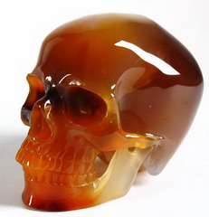 Large 3.8" Carnelian Carved Crystal Skull, Healing, Gemstone  