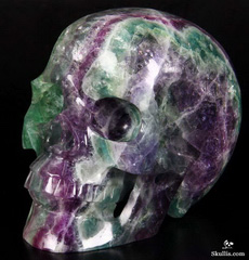 Huge 6.3" Fluorite Carved Crystal Skull, Realistic
