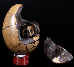 Amazing 5.0" Dragon Septarian Stone Carved Crystal Egg with Skull Druse, Sculpture