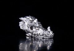 Guest From Sky! 0.6" Gibeon Meteorite Carved Crystal Dragon Skull