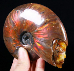 Ammonite Fossil Carved Crystal Star Being, Female Alien