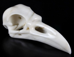 Giant 9.6" White Jade Carved Crystal Raven Skull