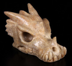 Rare 2.2" Dinosaur Sauropoda Bone Fossil Carved Crystal Dragon Skull