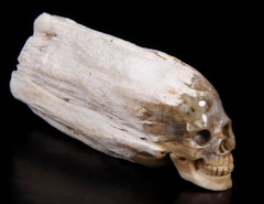 3.2" Petrified Wood BRANCH Carved Crystal Skull, Realistic