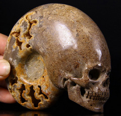 4.6" Moroccan Chamber Ammonite Fossil Carved Crystal Skull Sculpture