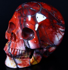 HUGE 5.1" African Petrified Wood Carved Crystal Skull, Realistic