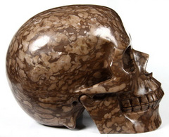 Lifesized 7.2" Map Jasper Carved Crystal Skull, Realistic