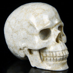 2.4" Coral Fossil Carved Crystal Skull, Realistic