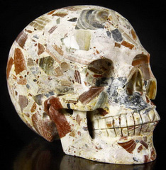 Huge 5.2" Australian Chert Brecciated Carved Crystal Skull, Realistic, Crystal Healing