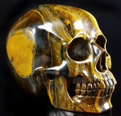 Awesome Flash Gemstone Lifesized 6.7" Gold Tiger Eye Carved Crystal Skull, Super Realistic