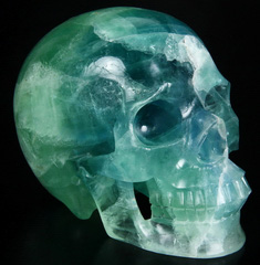 Nice Huge 5.2" Fluorite Carved Crystal Skull, Realistic