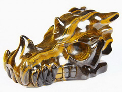 Awesome Flash Gemstone Huge 7.6" Gold Tiger Eye Carved Crystal Dragon Skull