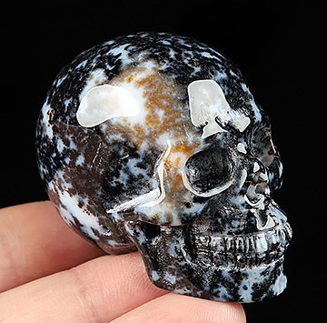 2.0" Black Zebra Agate Carved Crystal Skull, Realistic