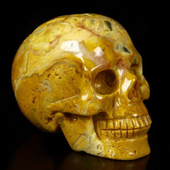 2.5" Yellow Crazy Lace Agate Carved Crystal Skull, Realistic