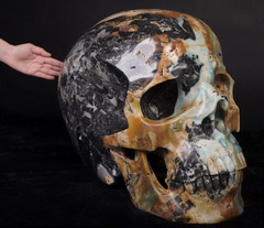 306.2LB Titan 23.6" Chinese Amazonite Carved Crystal Skull, Super Realistic